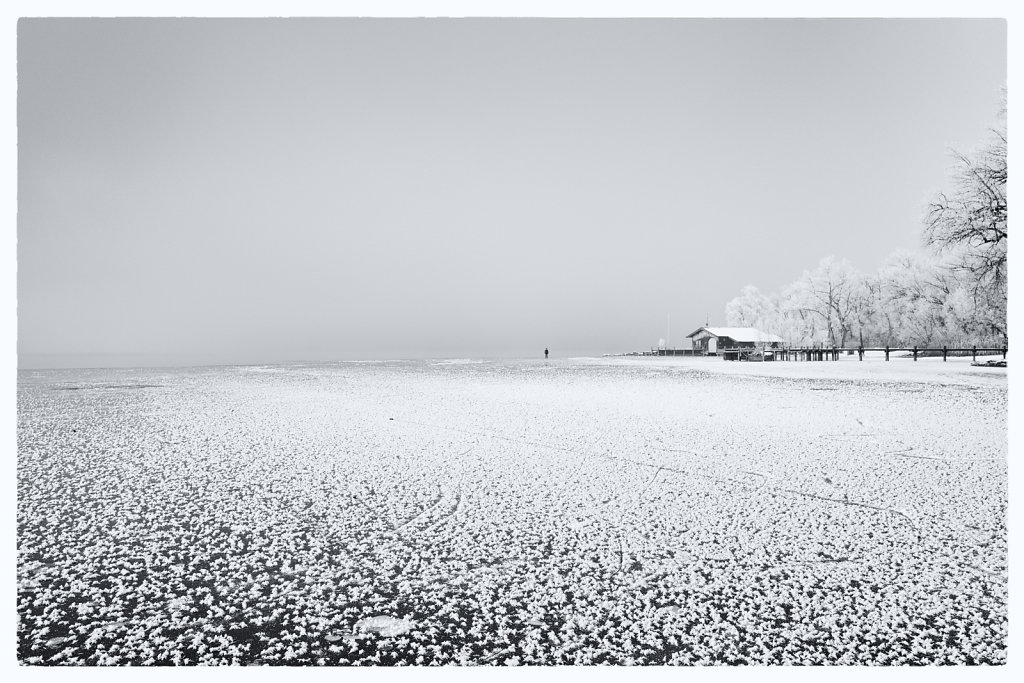 Chiemsee