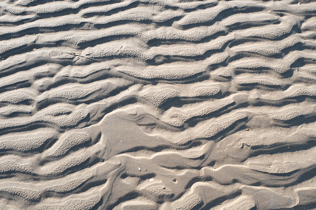 L1130265.jpg